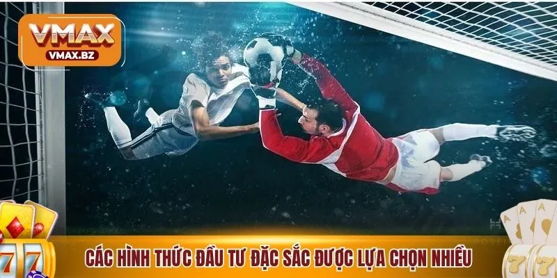 Các hình thức đầu tư đặc sắc được lựa chọn nhiều