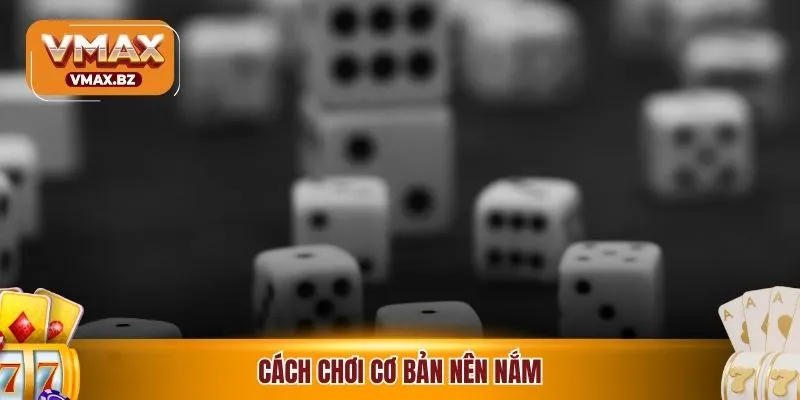 Cách chơi cơ bản nên nắm