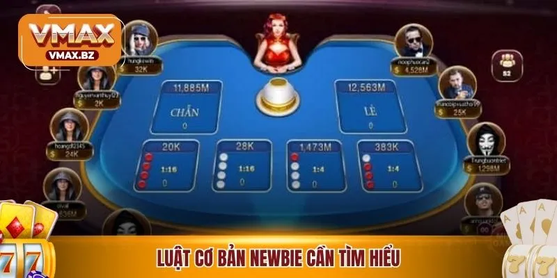 Luật cơ bản newbie cần tìm hiểu