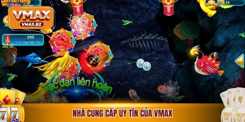 Nhà cung cấp uy tín của VMAX