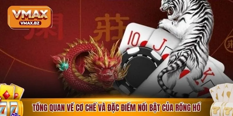 Tổng quan về cơ chế và đặc điểm nổi bật của rồng hổ