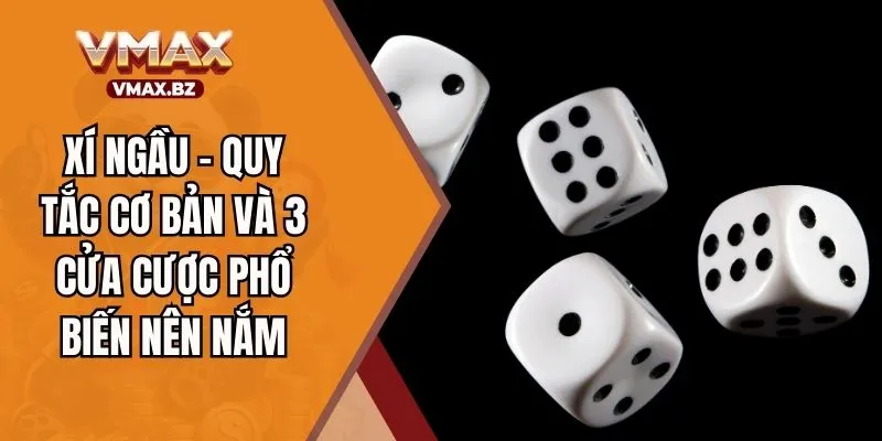 Xí Ngầu - Quy Tắc Cơ Bản Và 3 Cửa Cược Phổ Biến Nên Nắm
